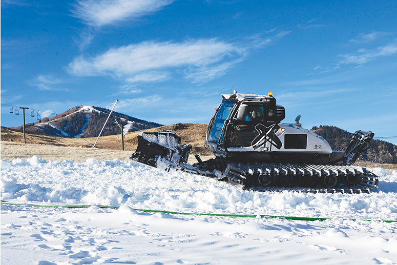 19-11-27 Dollar Snow 4 Roland C.jpg